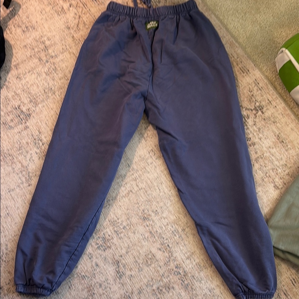 Daily Drills Bluish Purple Joggers